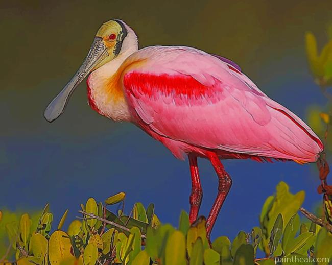 Pink And Yellow Long Beak Bird Painting By Numbers Kits
