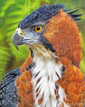 Hawk Eagle Painting By Numbers Kits