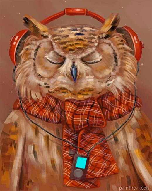 Owl Listening To Music Painting By Numbers Kits