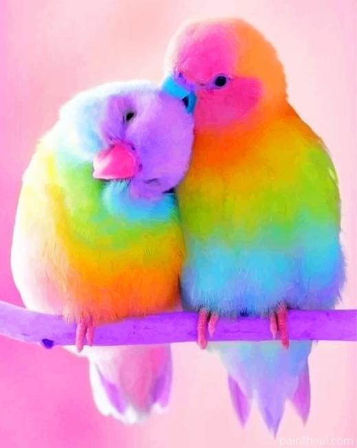 Colorful Love Bird Painting By Numbers Kits