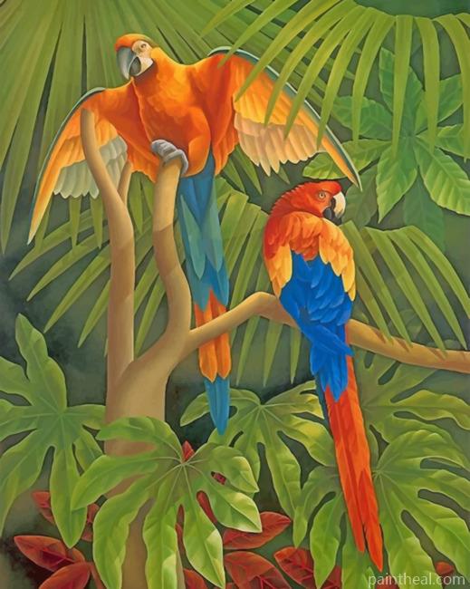 Orange And Blue Parrots Painting By Numbers Kits