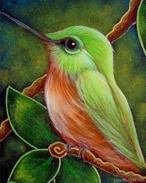 Sweet Hummingbird Painting By Numbers Kits