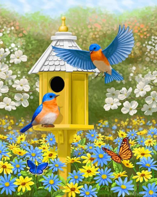 Colorful Garden Bluebirds And Birdhouse Painting By Numbers Kits
