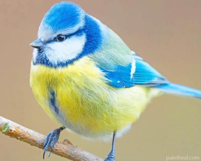 Eurasian Blue Tit Bird Painting By Numbers Kits