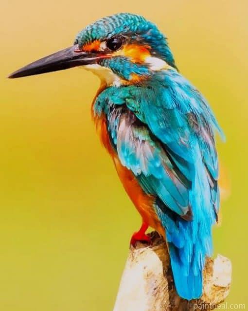The kingfisher Bird Painting By Numbers Kits
