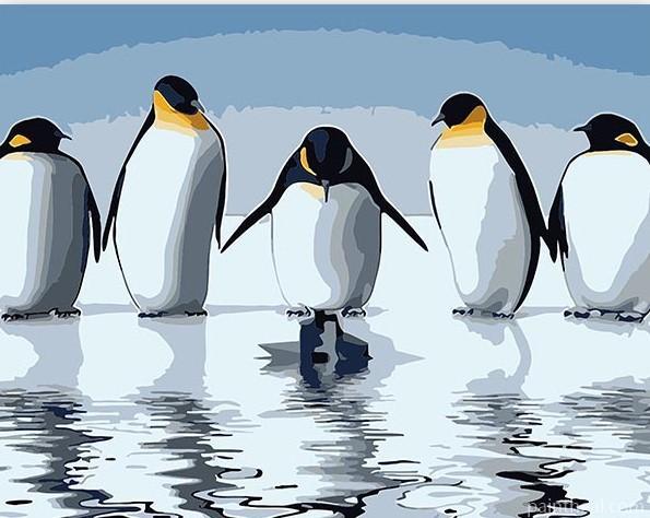 Penguins Painting By Numbers Kits