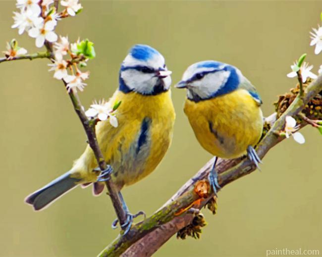 Blue Tit Birds Painting By Numbers Kits