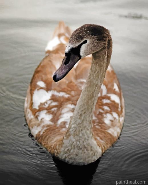 Canada Goose Painting By Numbers Kits