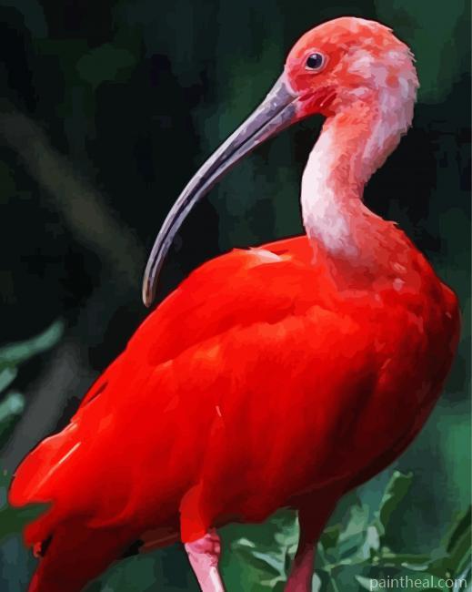 Red Crane Bird Painting By Numbers Kits