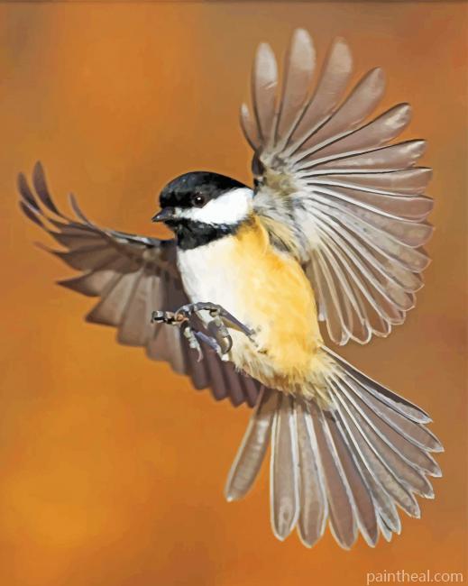 Chickadee Flying Bird Painting By Numbers Kits