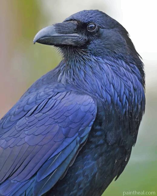 Common Raven Painting By Numbers Kits