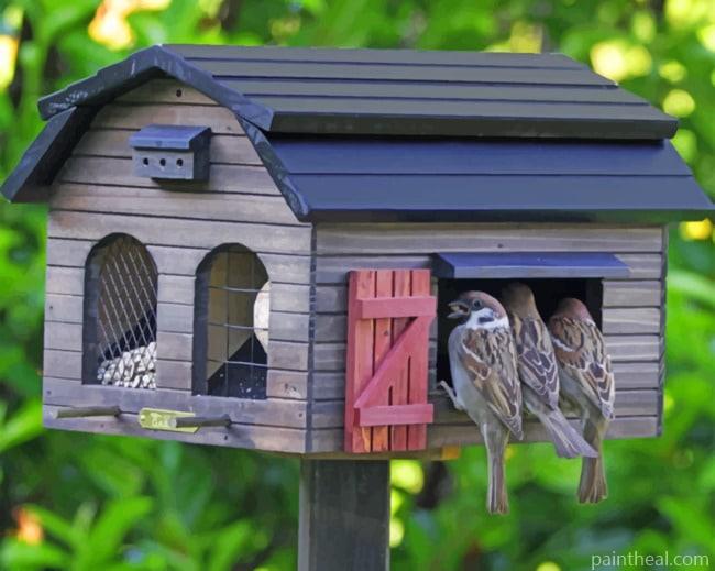 Wooden House For Birds Painting By Numbers Kits