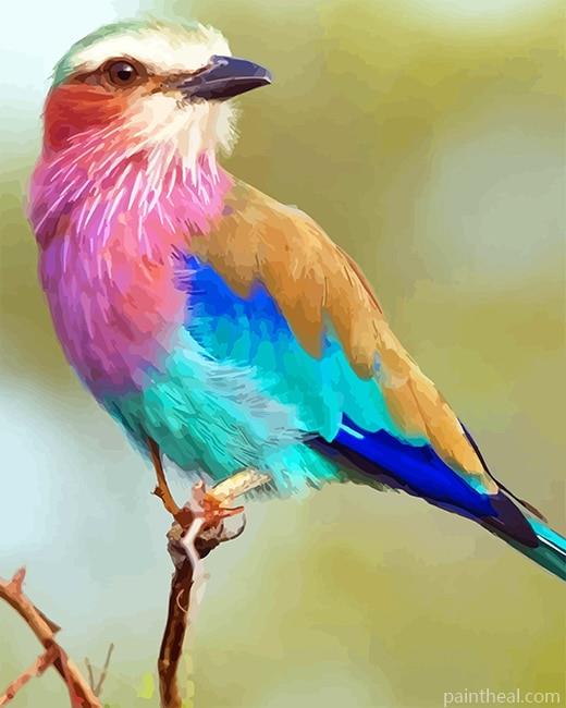 Lilac Breasted Roller Painting By Numbers Kits
