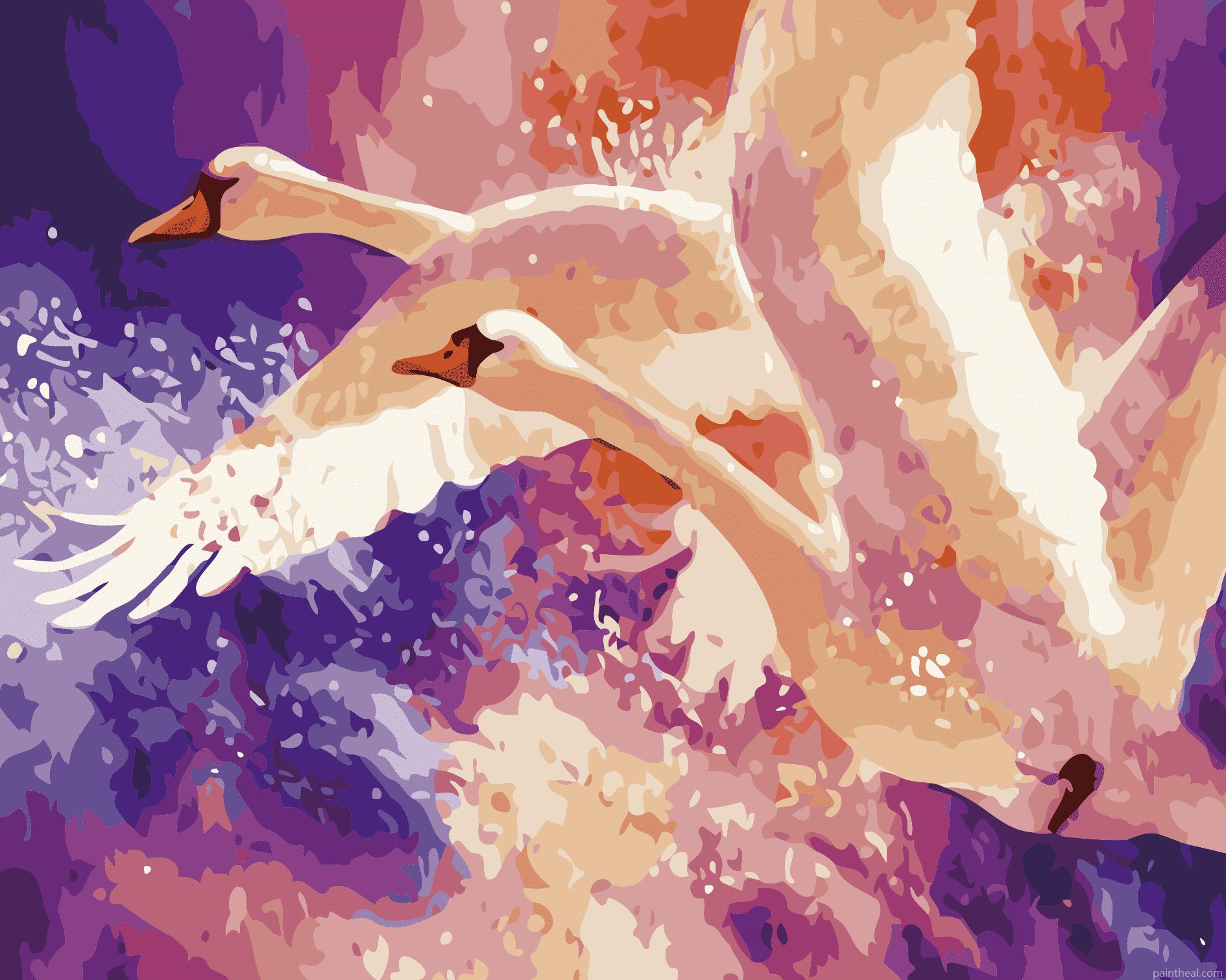 Flying Swans Painting By Numbers Kits