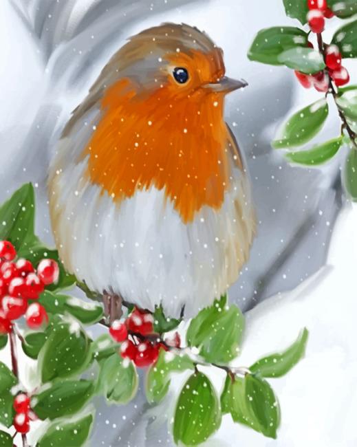 Robin Bird Enjoying The Snow Painting By Numbers Kits