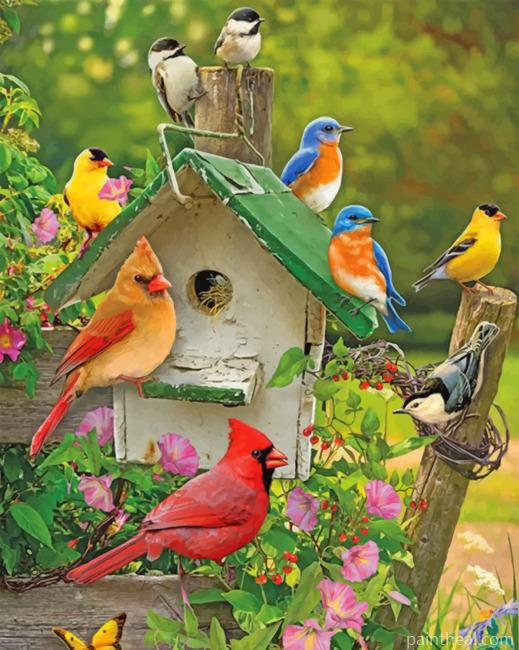 Aesthetic Birds Painting By Numbers Kits