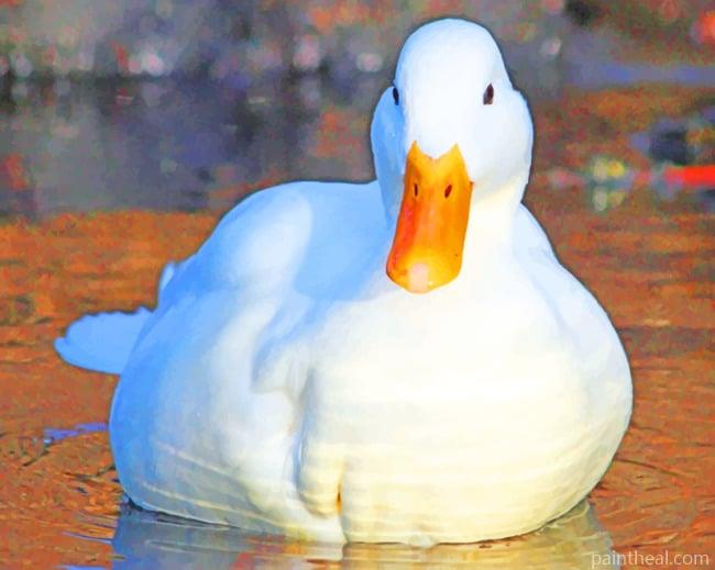 White Duck Bird Painting By Numbers Kits
