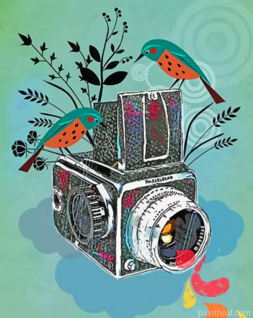 Birds And Camera Illustration Painting By Numbers Kits