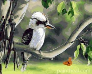 Laughing kookaburra Painting By Numbers Kits