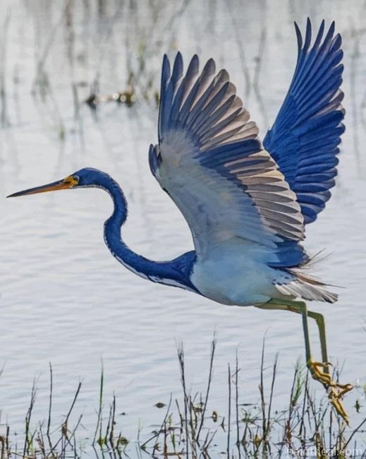 Heron Flying Painting By Numbers Kits