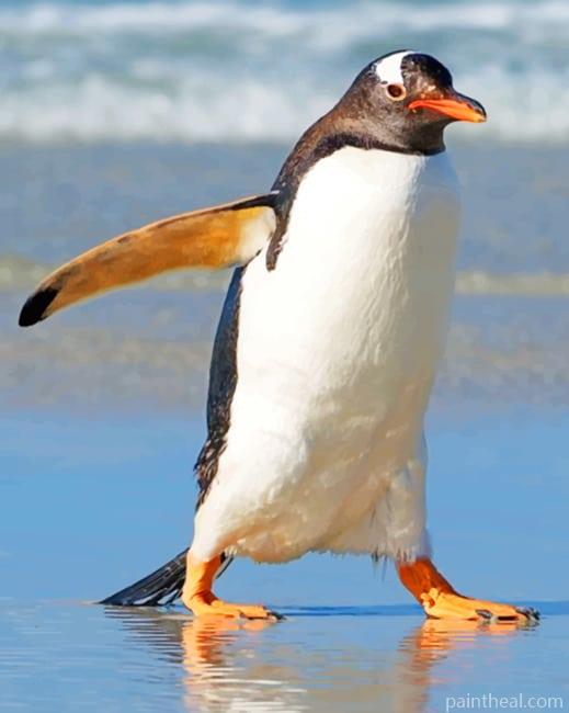 Penguin Bird On Sea Shore Painting By Numbers Kits