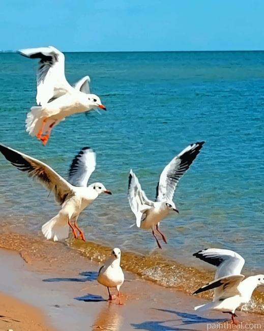 Birds In Sea Painting By Numbers Kits