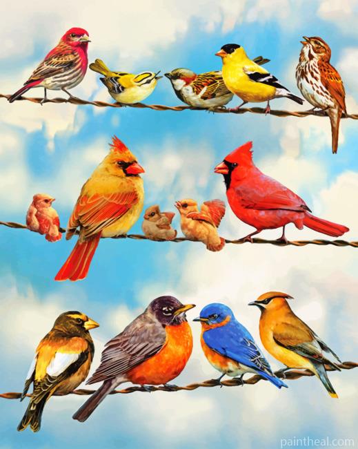 Birds On A Wire Painting By Numbers Kits