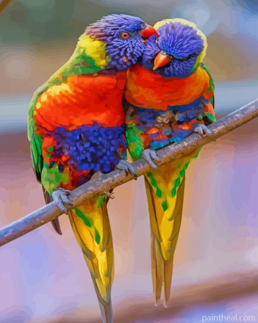 Rainbow Lorikeet Birds Painting By Numbers Kits