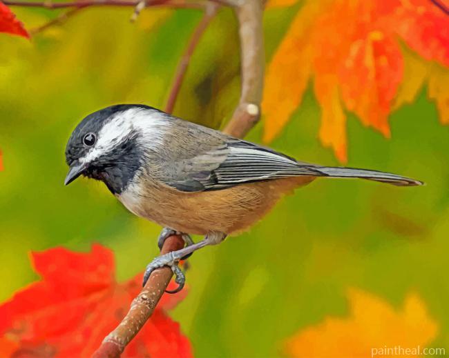 Capped Chickadee Painting By Numbers Kits