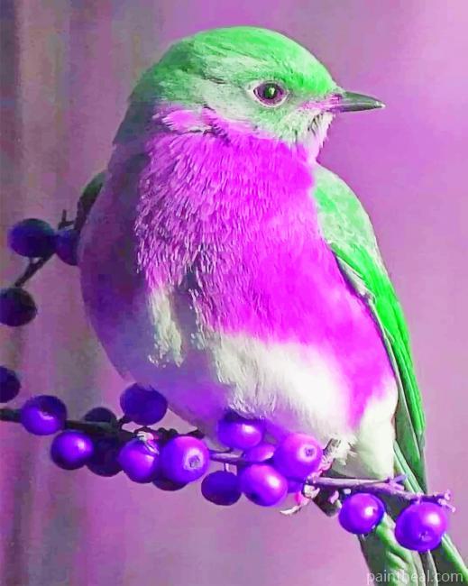 Purple and Green Bird Painting By Numbers Kits