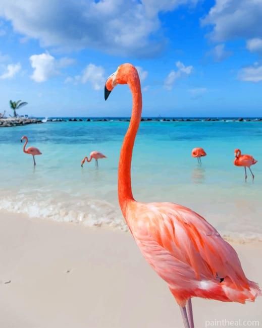Flamingo Birds In The Beach Painting By Numbers Kits