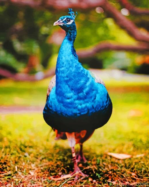 Blue Peafowl Painting By Numbers Kits