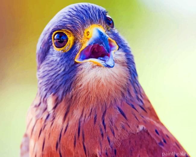 Brown And Purple Bird Painting By Numbers Kits