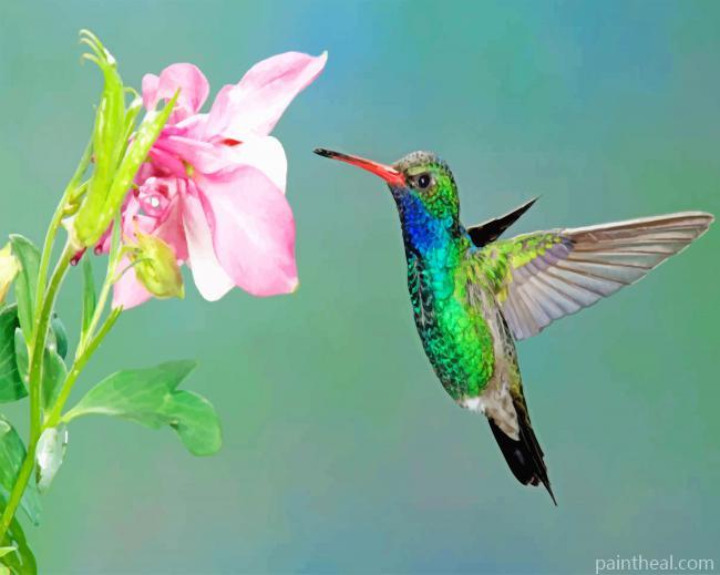 Flying Hummingbird And Pink Flower Painting By Numbers Kits