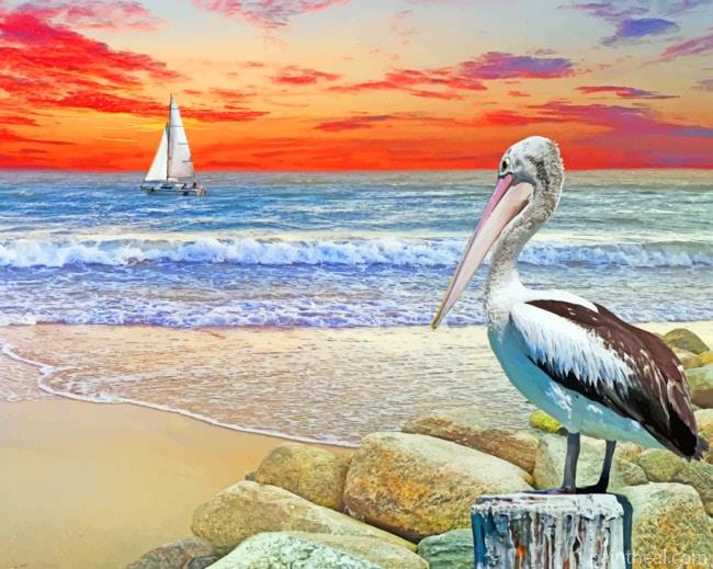 Sail Boat And Pelican Painting By Numbers Kits