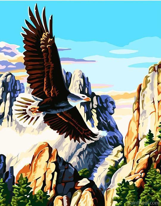 Eagle In Flight Painting By Numbers Kits