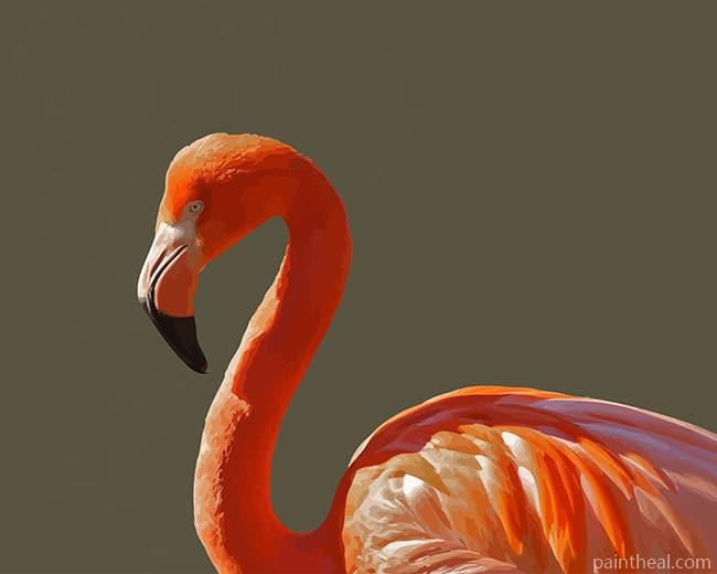 Orange Flamingo Bird Painting By Numbers Kits