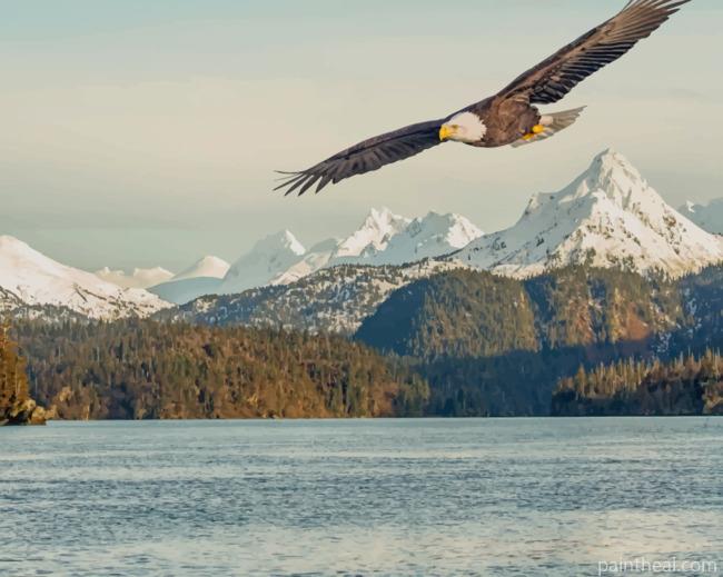 Eagle Flying Over Mountains Painting By Numbers Kits