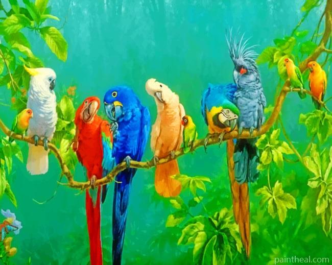Rainbow Parrots Painting By Numbers Kits