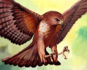 Hawk Bird Art Painting By Numbers Kits