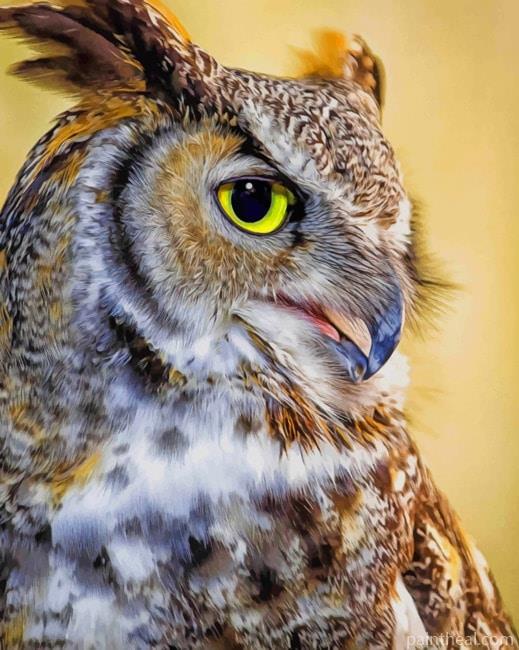 Owl Face With Yellow Eyes Painting By Numbers Kits