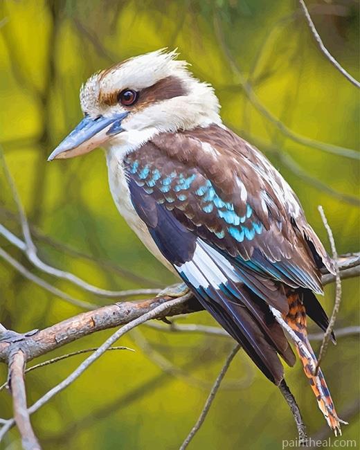 Laughing kookaburra Bird Painting By Numbers Kits