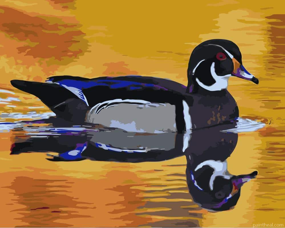 Duck Reflection in The Lake Painting By Numbers Kits