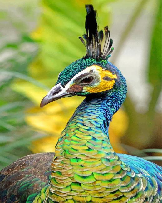Green Peafowl Painting By Numbers Kits