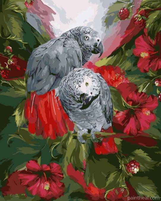 Gray Parrot Painting By Numbers Kits