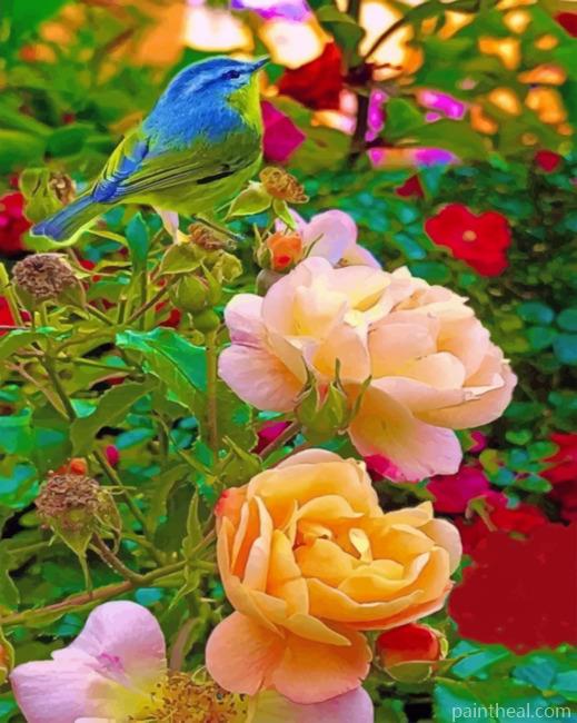 Bird And Flowers Painting By Numbers Kits
