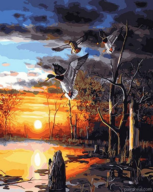 Flying Ducks Birds Painting By Numbers Kits