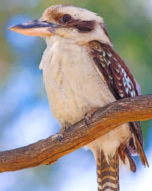 Kookaburra Bird Painting By Numbers Kits
