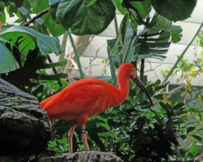 Tropical Flamingo Bird Painting By Numbers Kits