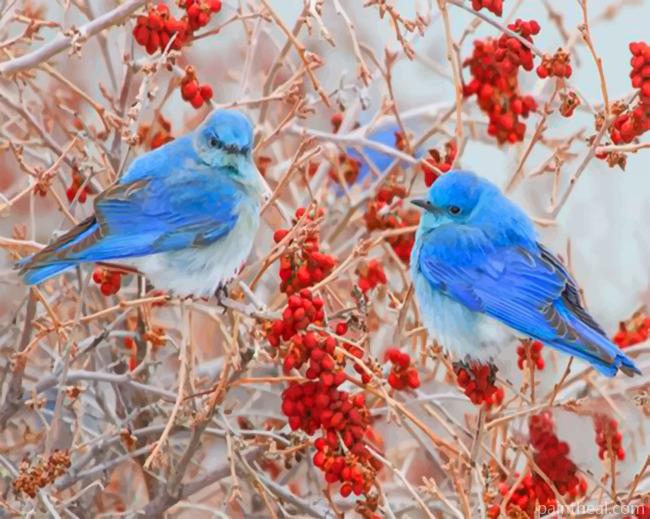 Blue Birds Painting By Numbers Kits